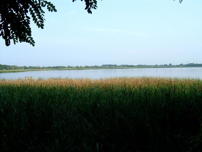 szate (020).jpg